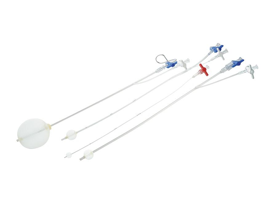 Distal Perfusion Catheter